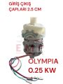 ELECTROLÜX DURULAMA MOTORU OLYMPIA 25 KW