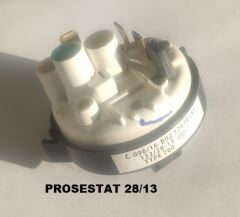 PROSESTAT 28/13